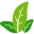 cleanPNG